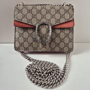 Gucci dionysus mini